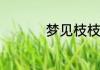 梦见枝枝花是什么意思