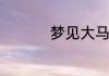 梦见大马路是什么意思