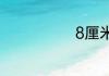 8厘米有多少长