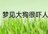 梦见大狗很吓人但没咬我是什么兆头