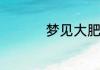 梦见大肥猪是什么意思