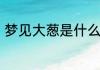 梦见大葱是什么预兆梦见大葱的寓意