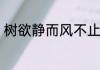 甩锅局是什么