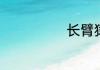 长臂猿词语解释