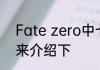 Fate zero中七位英灵的人物背景谁来介绍下