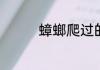 蟑螂爬过的被子能不能睡