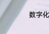 数字化指的是什么