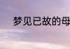 梦见已故的母亲生病是什么意思