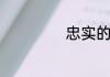 忠实的什么填量词