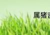 属猪吉祥物介绍