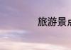 旅游景点适合卖什么