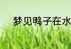 梦见鸭子在水中觅食是什么意思
