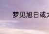 梦见旭日或太阳光是什么意思