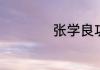 张学良功大还是过大