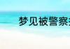 梦见被警察抓走了是什么意思