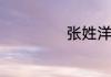 张姓洋气名字男孩