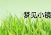 梦见小镜子是什么意思