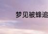 梦见被蜂追着蛰是什么意思