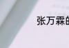张万霖的电视剧介绍