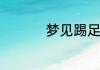 梦见踢足球有什么寓意