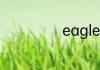 eagle是什么意思