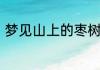 梦见山上的枣树结满了枣有红的青的