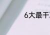 6大最干净的狗狗品种