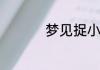 梦见捉小鸡是什么意思