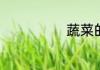 蔬菜的具体种类