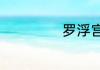 罗浮宫在哪个城市