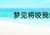 梦见将咬我的狗打死预示什么