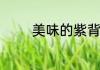 美味的紫背天葵的食用方法