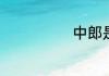 中郎是什么意思