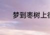 梦到枣树上很多枣是什么意思