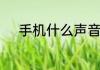 手机什么声音都没有了怎么回事