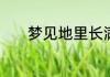 梦见地里长满西瓜是什么意思