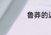 鲁莽的近义词是什么