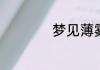 梦见薄雾是什么意思