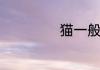 猫一般有多长寿命