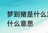 attorney造句