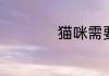 猫咪需要打哪些疫苗