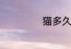 猫多久可以生小猫