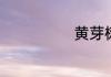 黄芽树长什么样