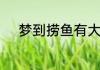 梦到捞鱼有大的有小的是啥预兆