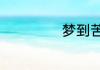 梦到苦艾酒好不好