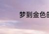 梦到金色的沙滩预示什么