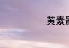 黄素影个人资料