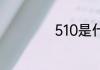 510是什么爱情意思