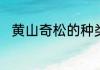 黄山奇松的种类有哪些不要写废话