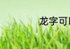 龙字可以+什么偏旁